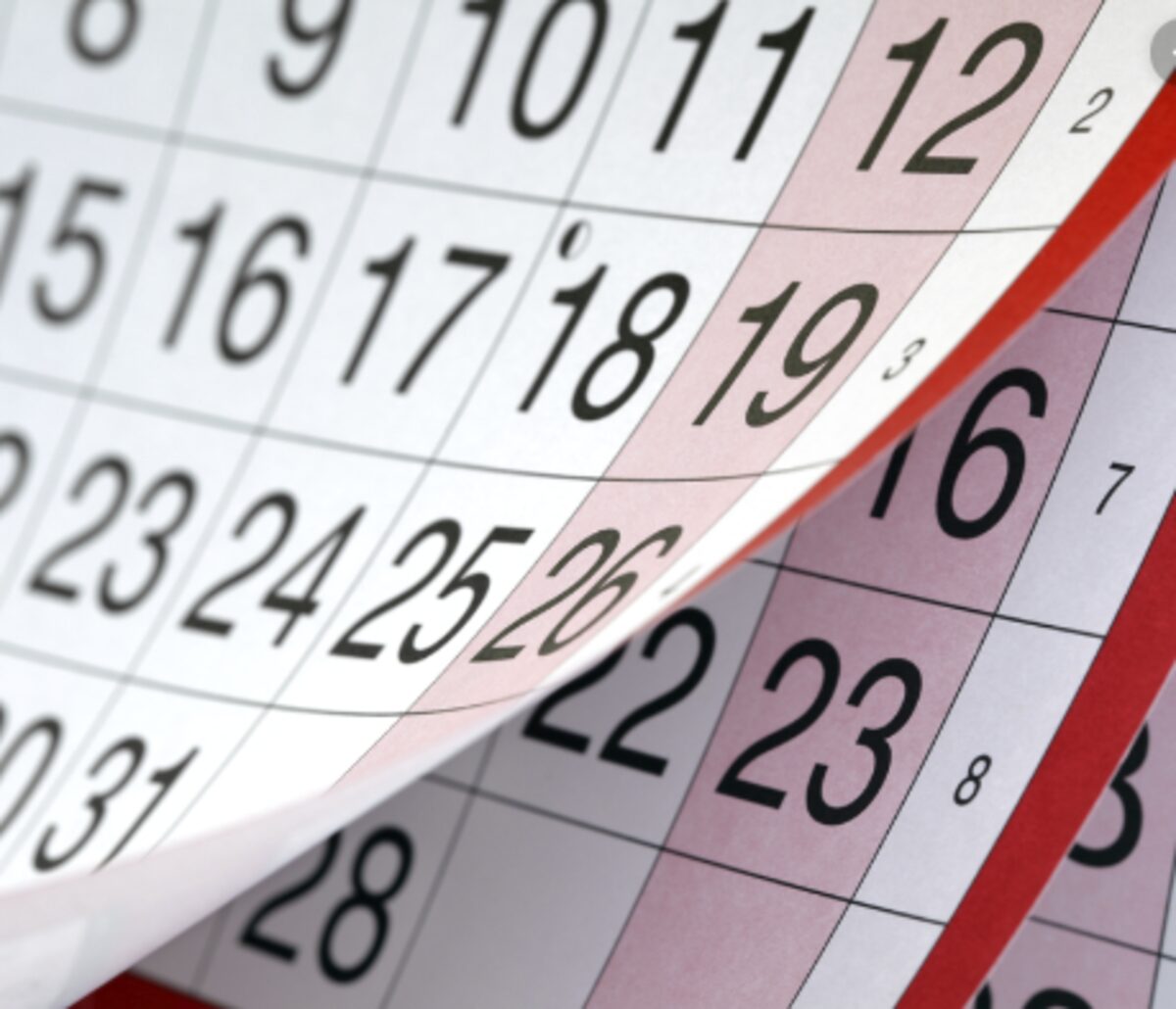 Monthly calendar pages